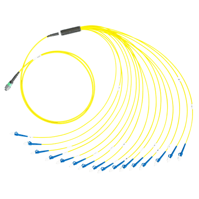 Afbeelding van breakoutkabel SingleMode MTP24-M>24xLC/APC  2.0m Neutrik